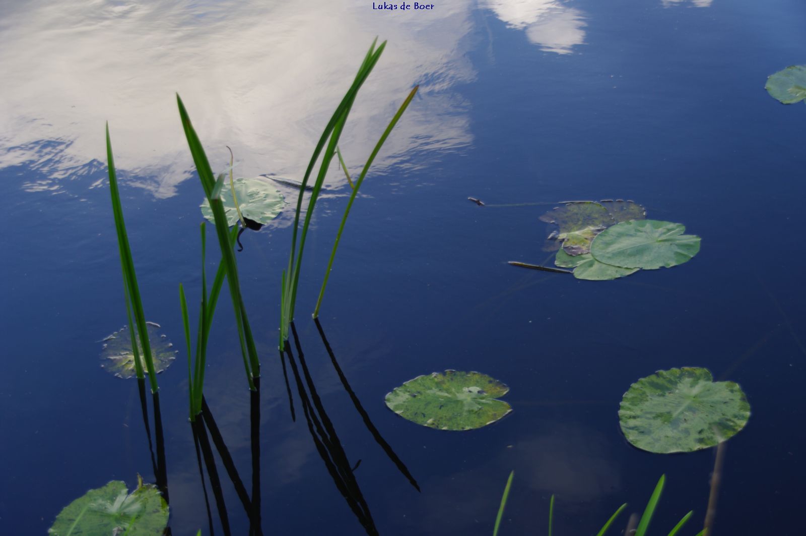 karakter_16.jpg - Waterlandschap